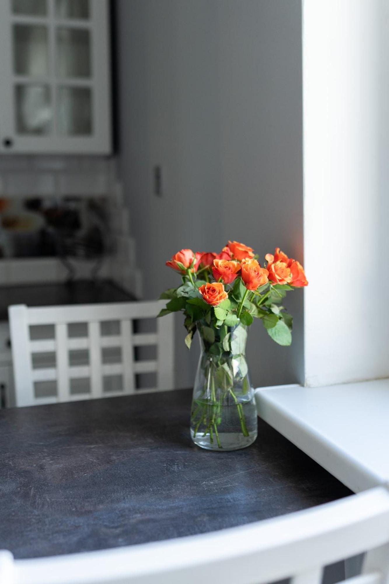 Apartament Na Polnej Chełmno エクステリア 写真